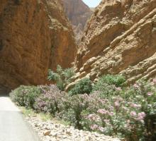 raid-maroc-booxt_juin-2010_0818.jpg