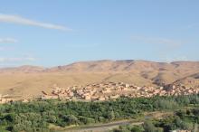 booxt-raid-2011-maroc-experaid-buggy_01521.jpg