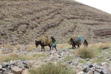 booxt-raid-2011-maroc-experaid-buggy_03171.jpg