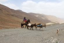 booxt-raid-2011-maroc-experaid-buggy_04501.jpg