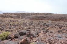 booxt-raid-2011-maroc-experaid-buggy_06301.jpg