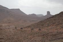 booxt-raid-2011-maroc-experaid-buggy_06901.jpg