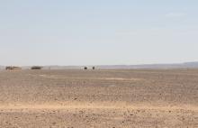 booxt-raid-2011-maroc-experaid-buggy_09901.jpg