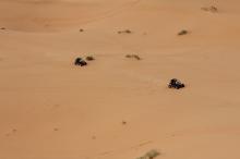booxt-raid-2011-maroc-experaid-buggy_11981.jpg