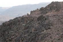 raid-buggy-booxt-1100-maroc-2012_m6-turbo_680.jpg