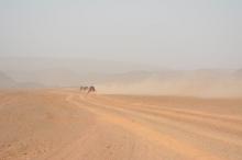 raid-buggy-booxt-maroc-experaid-2-pistes_1110.jpg